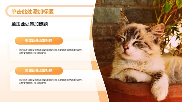 橙色渐变风可爱猫咪图集通用模板PPT模板