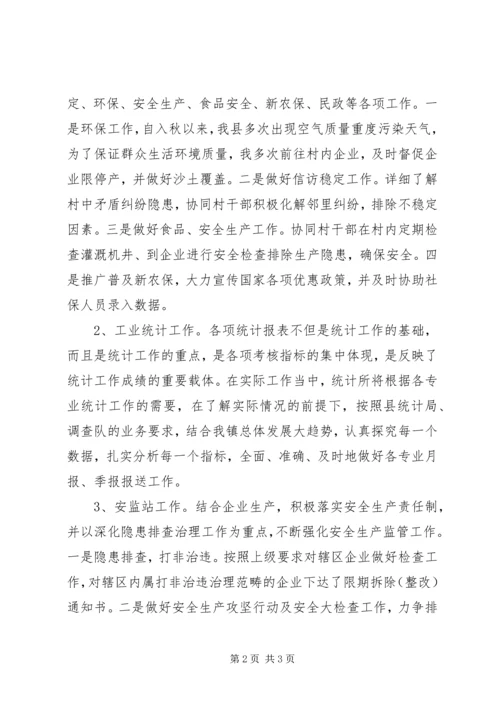 乡镇安监、统计人员工作总结.docx