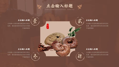 褐色传统中医药文化介绍培训PPT模板