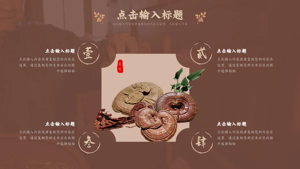 褐色传统中医药文化介绍培训PPT模板