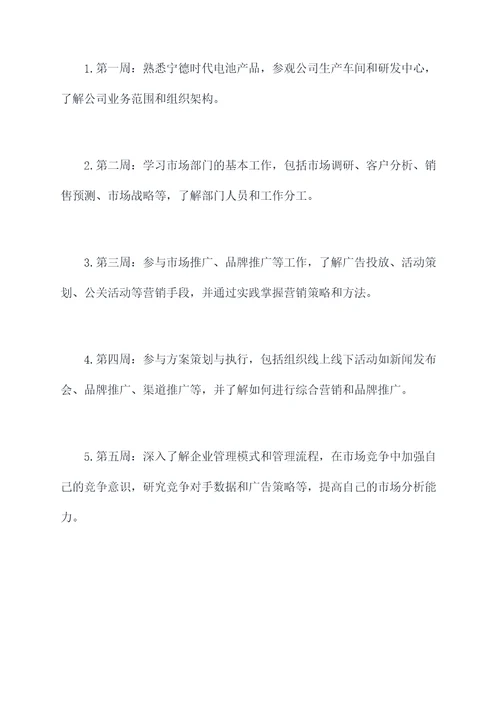 宁德时代实习工作计划