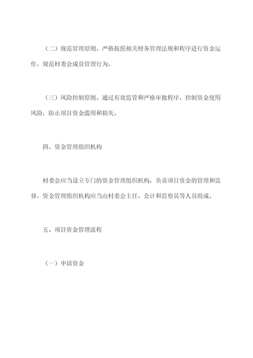 村项目资金管理制度