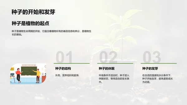 植物成长之旅