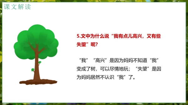 5我变成了一棵树   课件