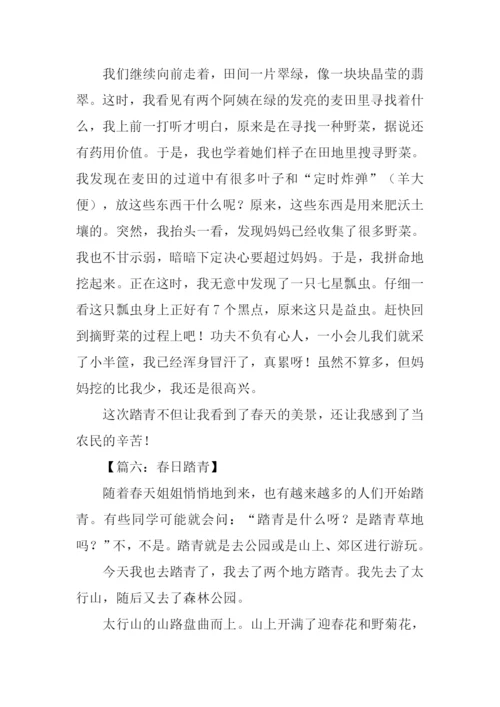 春日踏青作文400字.docx