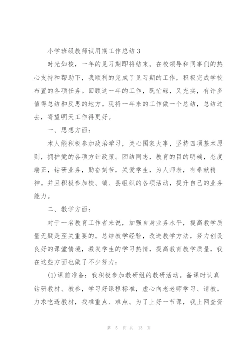 小学班级教师试用期工作总结.docx