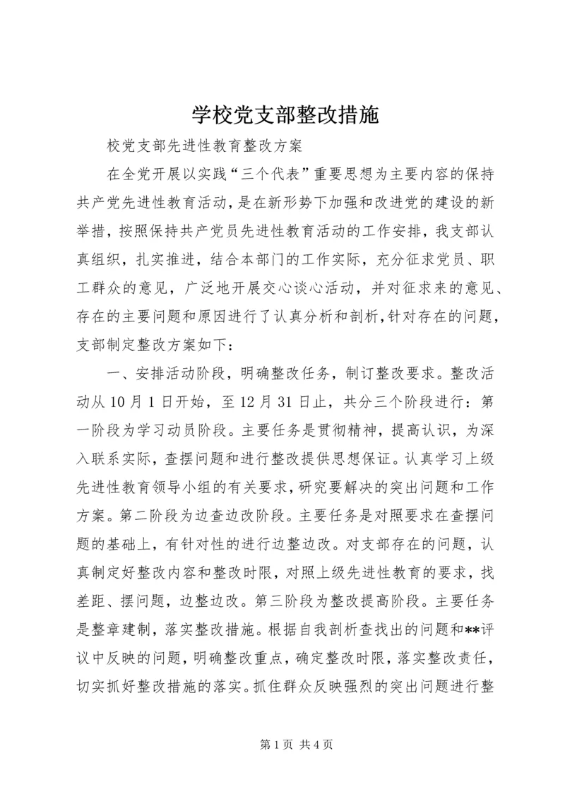 学校党支部整改措施 (4).docx