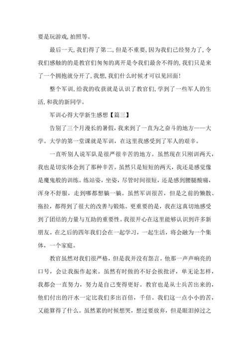 军训心得大学新生感想800字20225篇.docx
