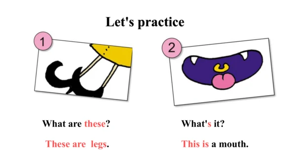 外研版一起一下Module4 Unit2 These are your legs.课件
