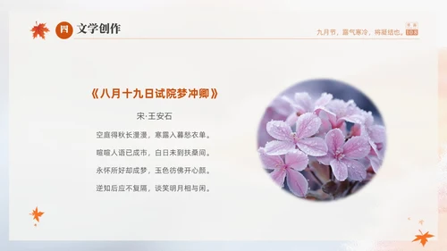 白色淡雅实拍风中国传统节气寒露节气介绍PPT
