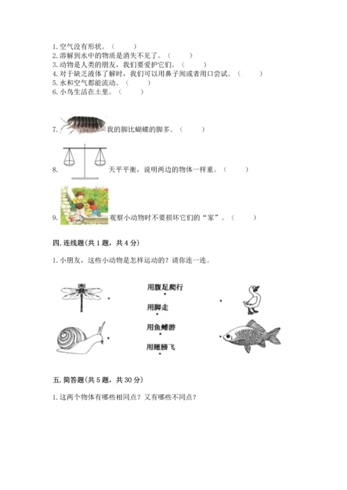 教科版一年级下册科学期末测试卷含完整答案【网校专用】.docx