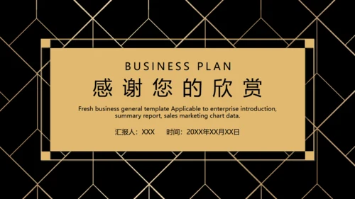 BUSIESS PLAN 商业融资计划书通用PPT模板