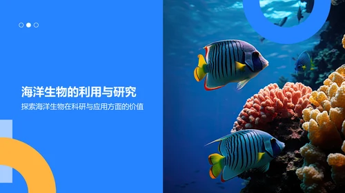 蓝色摄影风海洋生物知识科普PPT模板