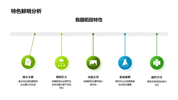 稻田生态的科学探究