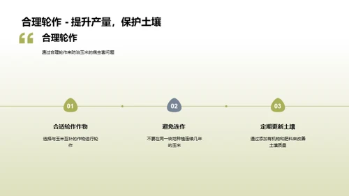 玉米高效种植新纪元