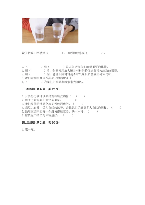 教科版科学二年级上册《期末测试卷》精品【有一套】.docx