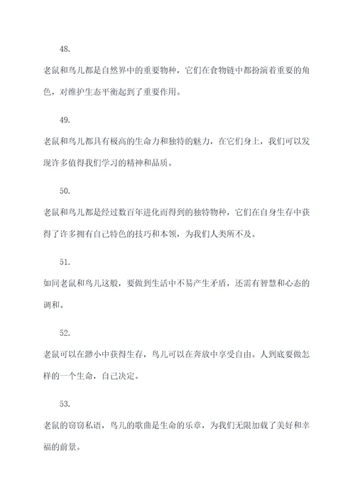 老鼠和鸟谚语