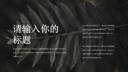黑色简约风旅行商业计划书PPT模板