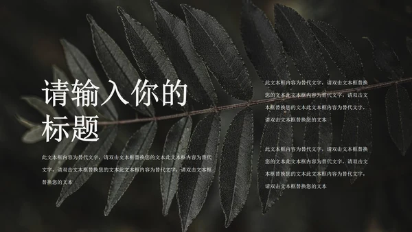 黑色简约风旅行商业计划书PPT模板