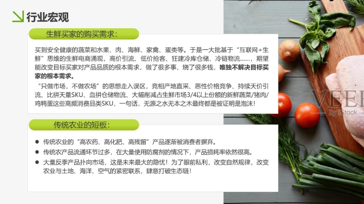 美味生鲜项目运营策划书PPT模板