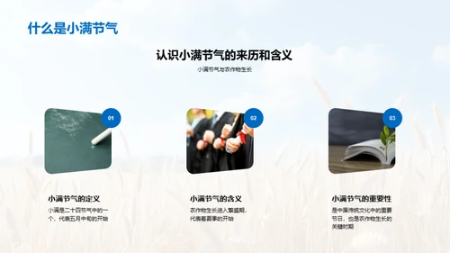 小满节气深度解析