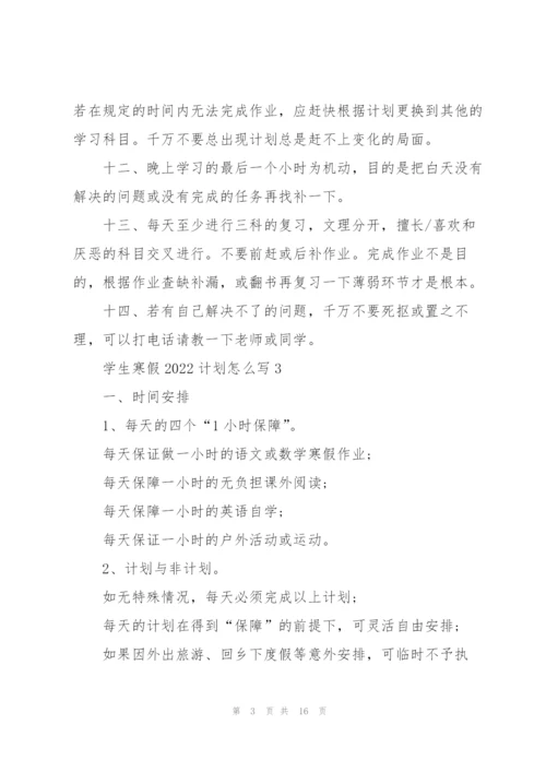 学生寒假2022计划怎么写10篇.docx