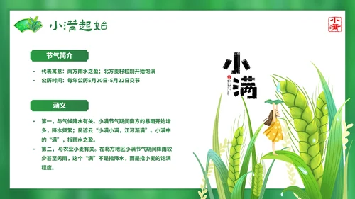 绿意春天小满时节二十四节气通用PPT模板