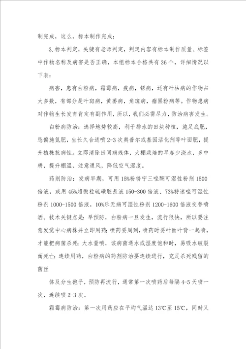 2021年病理学实习汇报参考