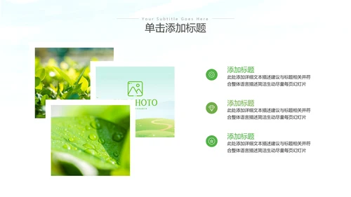 绿色环保生态环境城市绿化工作总结汇报PPT