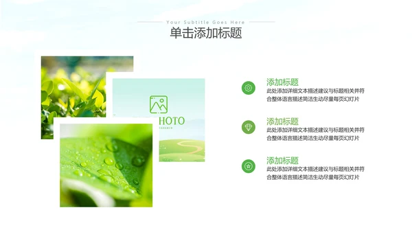 绿色环保生态环境城市绿化工作总结汇报PPT