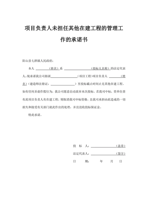 项目负责人未担任其他在建工程的管理工作的承诺书
