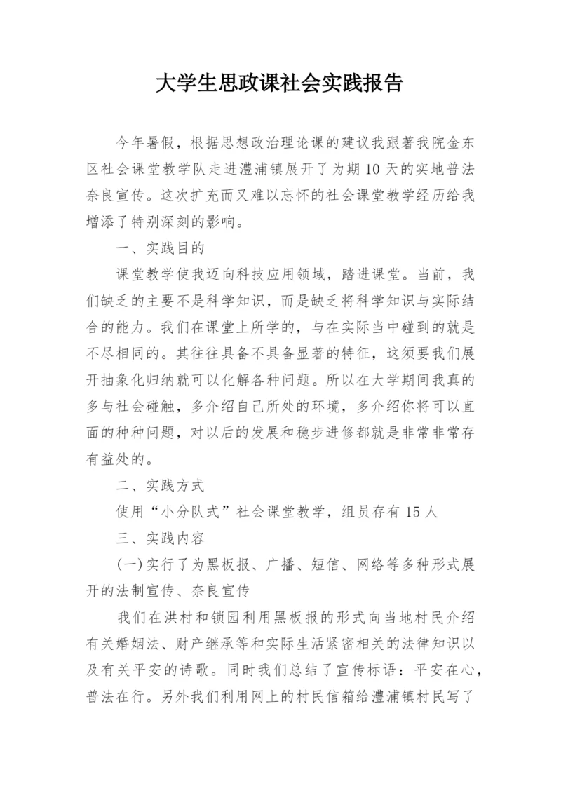 大学生思政课社会实践报告.docx