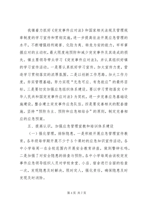 乡镇年度应急管理工作总结.docx