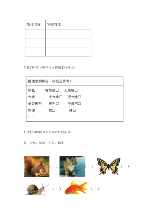 教科版小学科学一年级下册期末测试卷（b卷）.docx