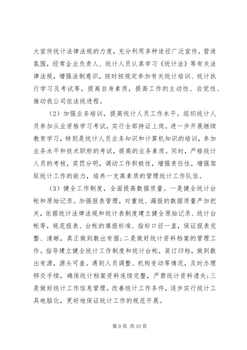 最新统计工作自查报告范文 (2).docx