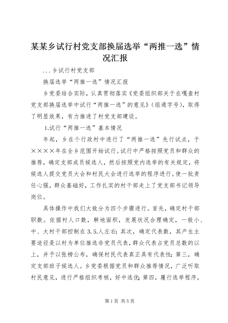 某某乡试行村党支部换届选举“两推一选”情况汇报.docx