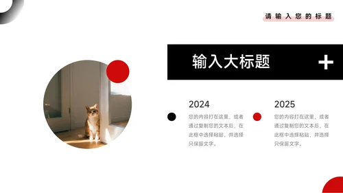 红黑商务欧美创业融资计划书PPT模板