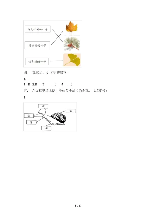 苏教版一年级科学(上册)期中复习卷及答案