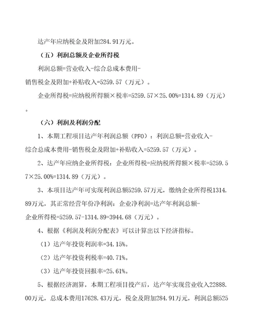 合肥塑料管项目财务分析报告