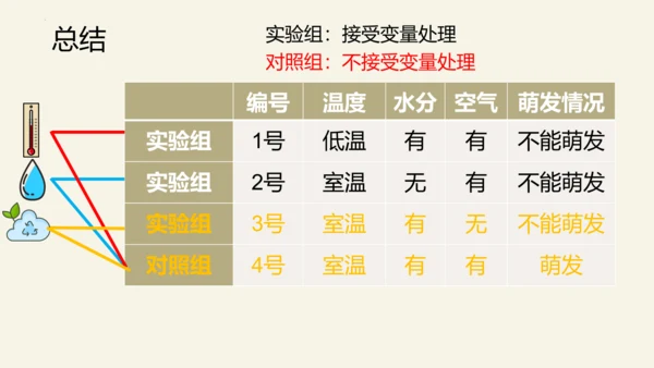 3.2.1 种子的萌发-2023-2024学年七年级生物上册优质课件（人教版）(共28张PPT)