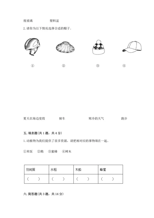 教科版科学二年级上册《期末测试卷》学生专用.docx