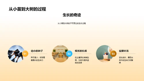 掌握树木成长秘籍