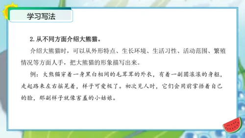 统编版三年级语文下册单元作文能力提升第七单元习作：国宝大熊猫（教学课件）