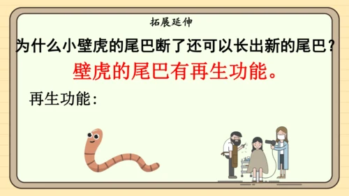 20 小壁虎借尾巴（课件）