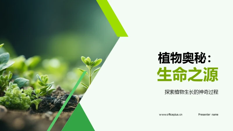 植物奥秘：生命之源