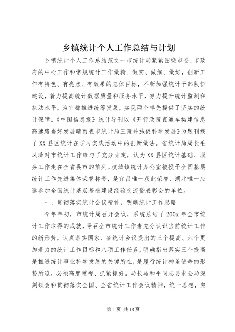 乡镇统计个人工作总结与计划.docx