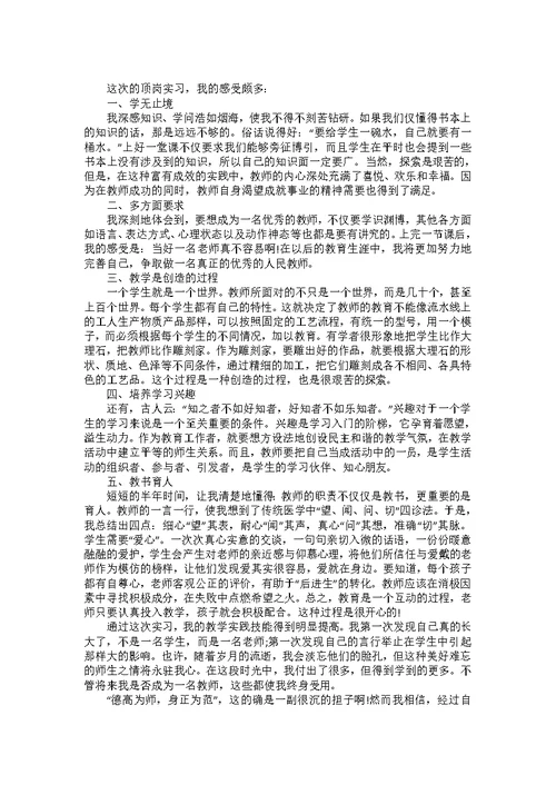 实习生工作总结