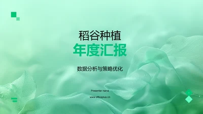 稻谷种植年度汇报