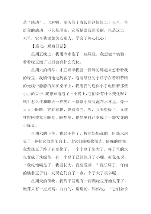 四年级作文观察日记-1.docx