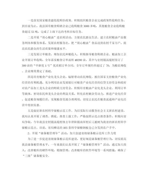 精编之粮食部门年终工作总结范文.docx